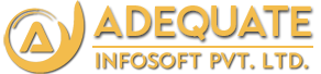 Adequateinfosoft - Custom Software Development Company India