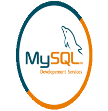 Software Development Agency, Software Development Solutions, Adequate Infosoft, MySQL