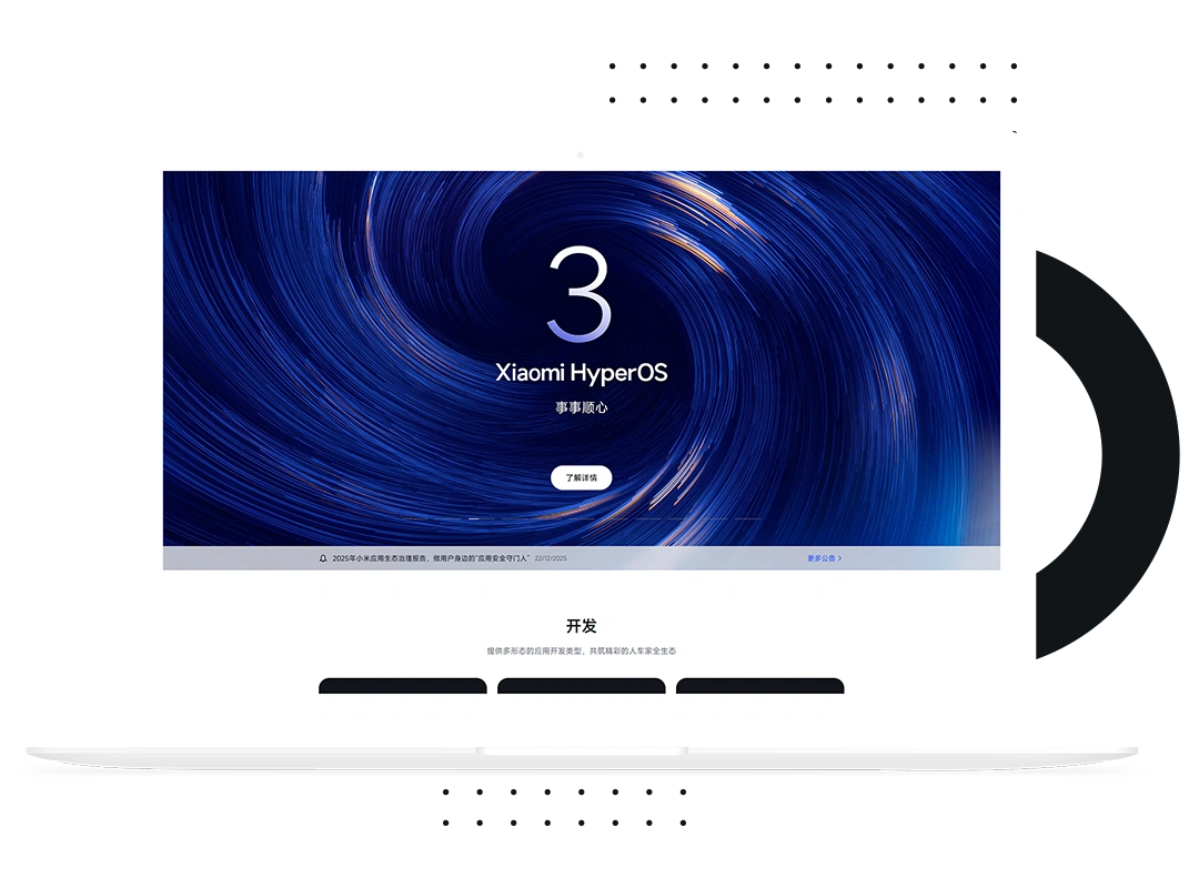 Xiaomi / Mi Fitness Platform