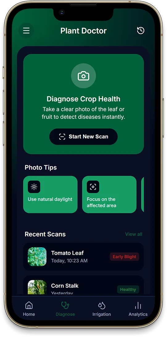 Modern Agriculture Solution