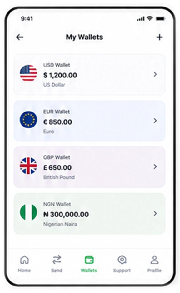 Custom Cross Border Money Transfer App