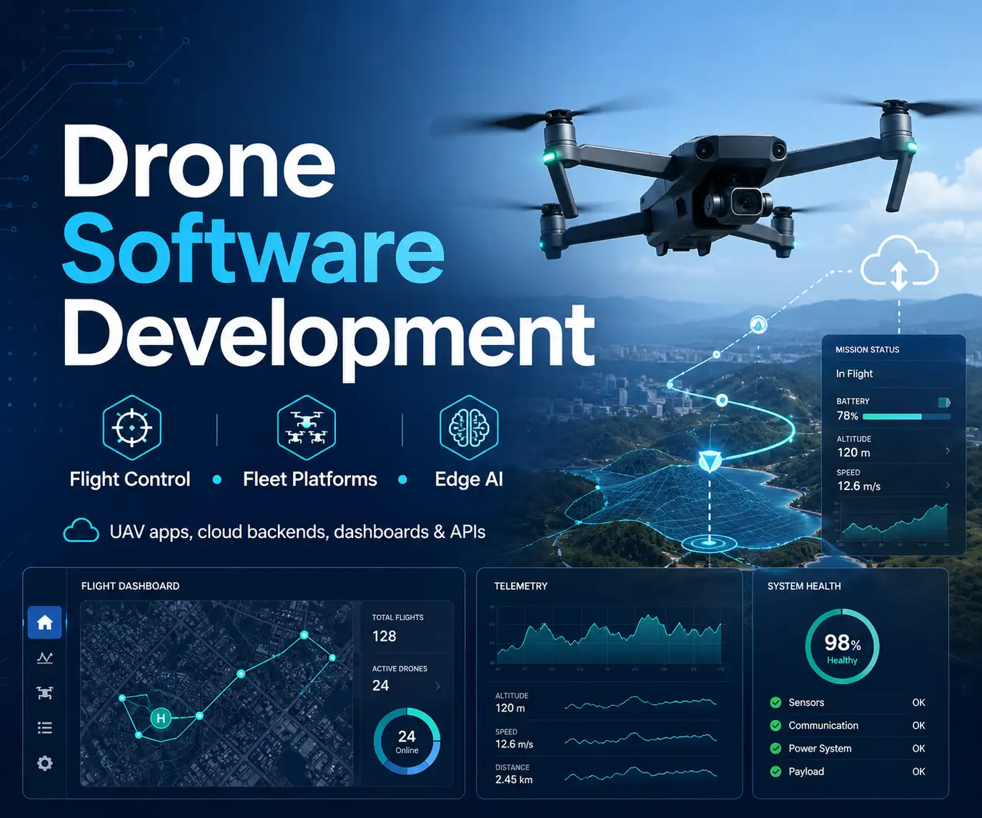 Drone Software Development