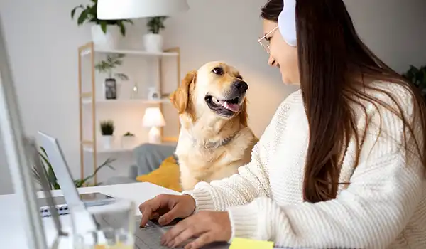 Pet Training & Adoption Platform