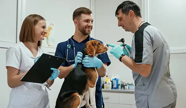 Veterinary Clinic Management